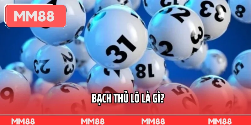 Bạch Thủ Lô Là Gì