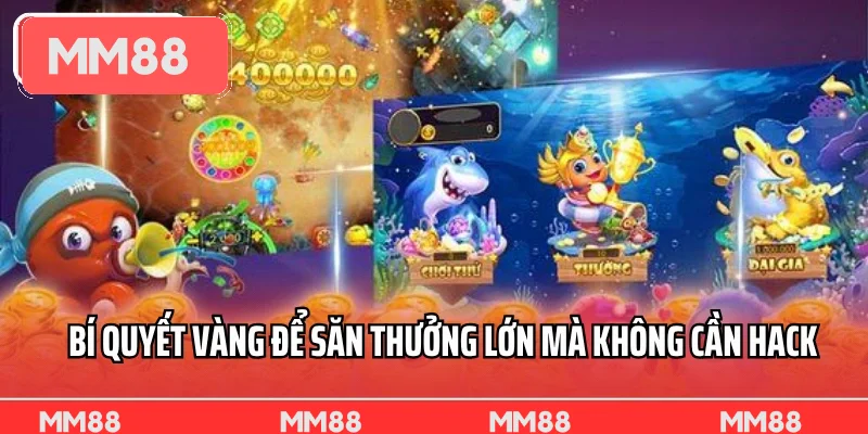 Bí quyết vàng để săn thưởng lớn mà không cần hack Bí quyết vàng để săn thưởng lớn mà không cần hack