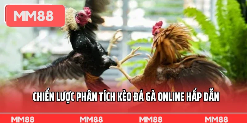 Chiến lược phân tích kèo đá gà online hấp dẫn Chiến lược phân tích kèo đá gà online hấp dẫn
