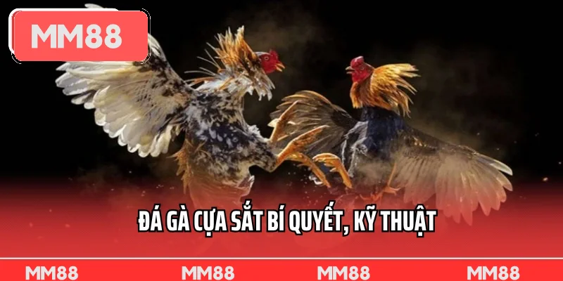 Đá Gà Cựa Sắt