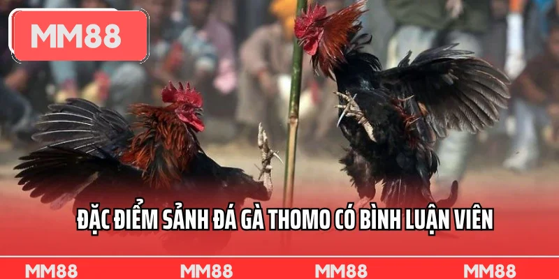 Đặc điểm sảnh đá gà Thomo có bình luận viên