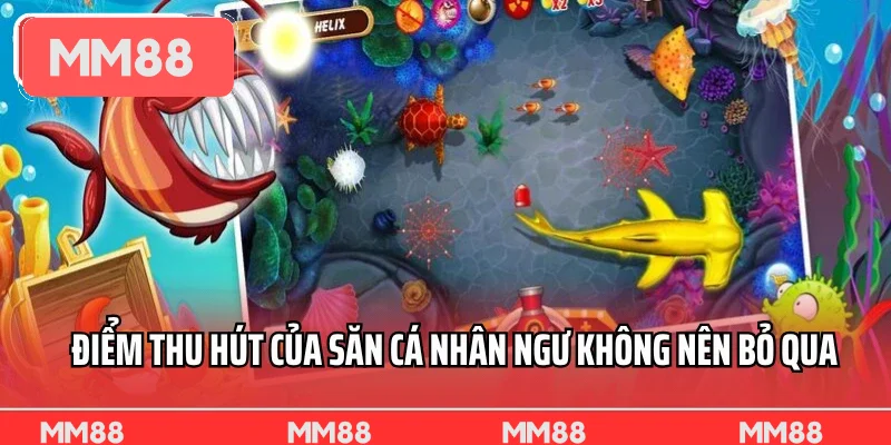 Điểm thu hút của săn cá nhân ngư không nên bỏ qua