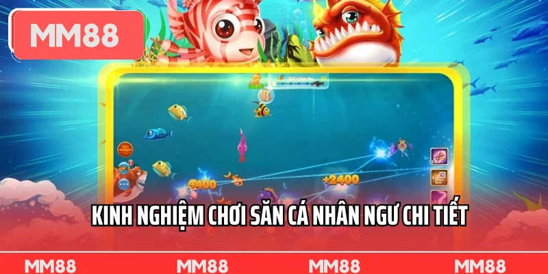 Kinh nghiệm chơi săn cá nhân ngư chi tiết