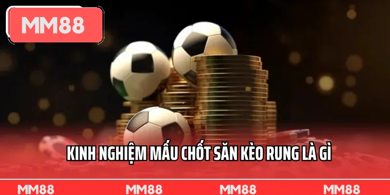 Kinh nghiệm mấu chốt săn kèo rung là gì 