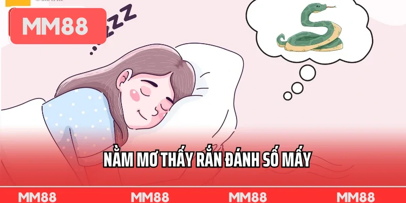 Nằm mơ thấy rắn đánh số mấy