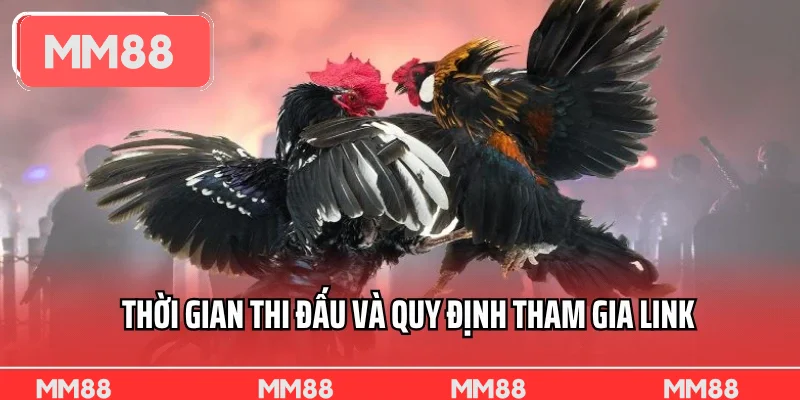 Thời gian thi đấu và quy định tham gia link trực tiếp đá gà Thomo Thời gian thi đấu và quy định tham gia link trực tiếp đá gà Thomo