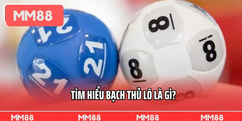 Tìm hiểu Bạch thủ lô là gì?