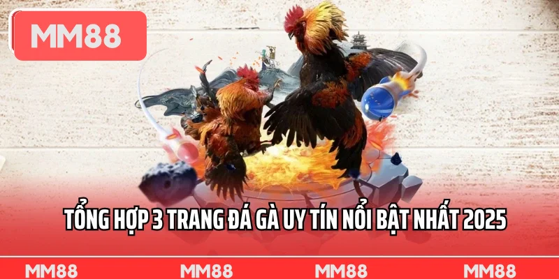 Tổng hợp 3 trang đá gà uy tín nổi bật nhất 2025