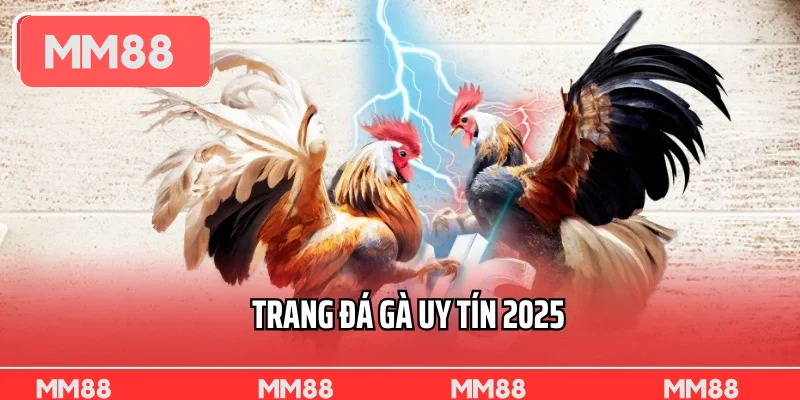Trang Đá Gà Uy Tín 2025 Đánh Giá Các Địa Chỉ Chất Lượng Hàng Đầu