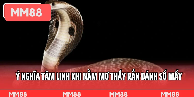 Ý nghĩa tâm linh khi nằm mơ thấy rắn đánh số mấy