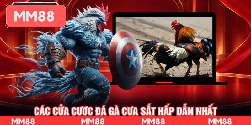 Các cửa cược đá gà cựa sắt hấp dẫn nhất