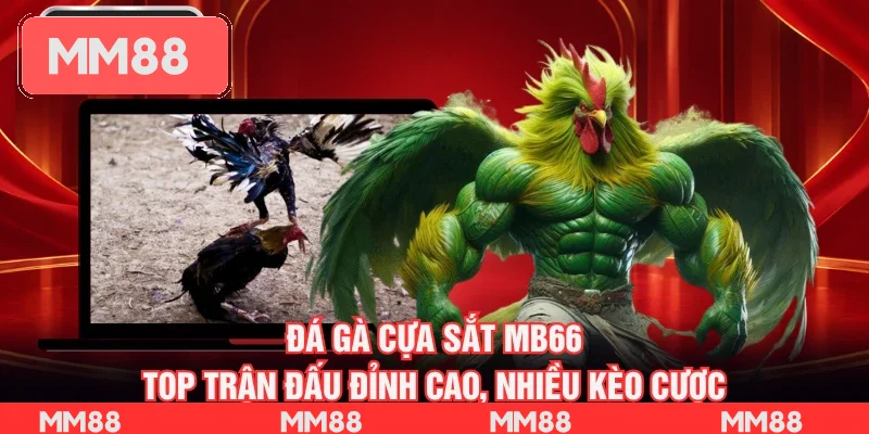 Đá Gà Cựa Sắt MB66 – Top Trận Đấu Đỉnh Cao, Nhiều Kèo Cược